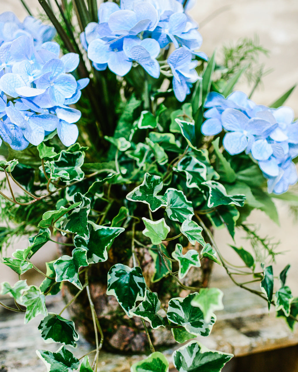 Green House Blue Hydrangea Mix Planter Drop In