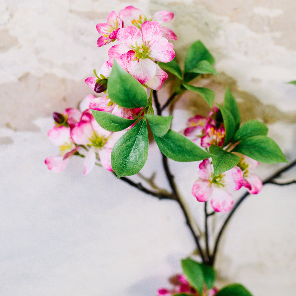 Pink Cherry Blossom Branch