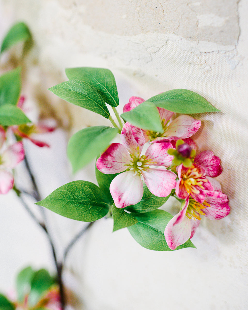 Pink Cherry Blossom Branch