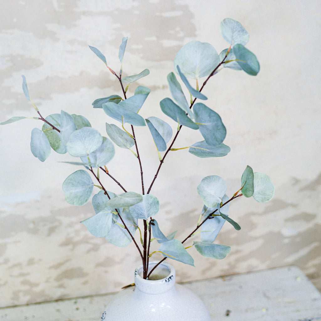 Plants & Greenery Stems – Branches Designs