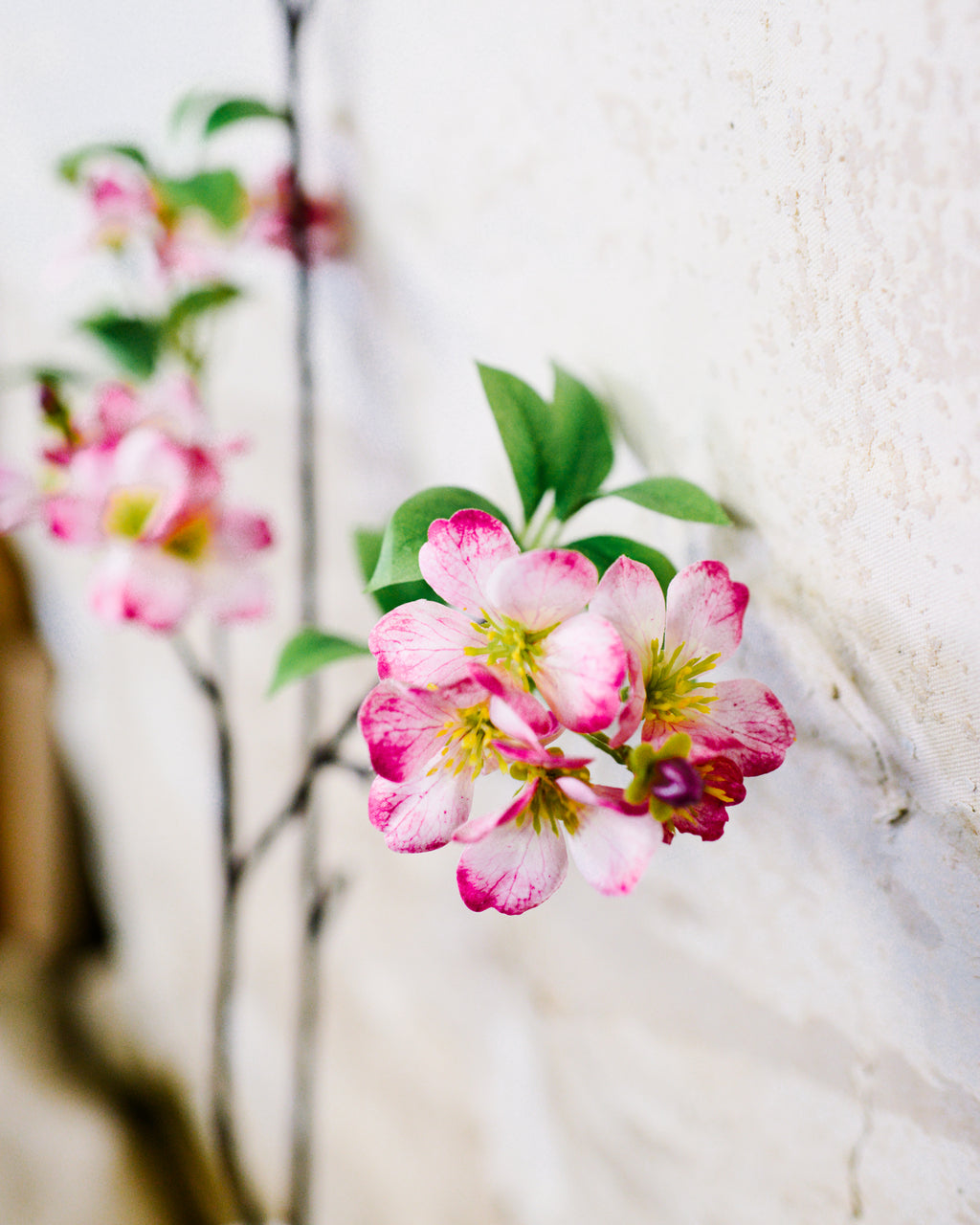 Pink Cherry Blossom Branch