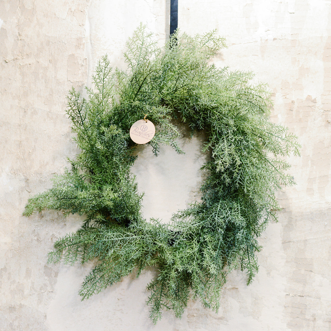 Natural Touch Mini Asparagus Fern Wreath