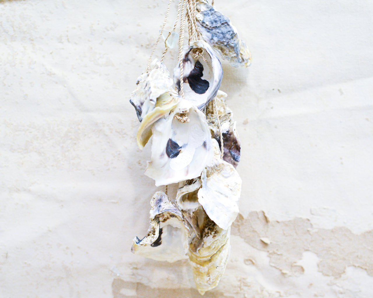 Oyster Sea Glass Hanger