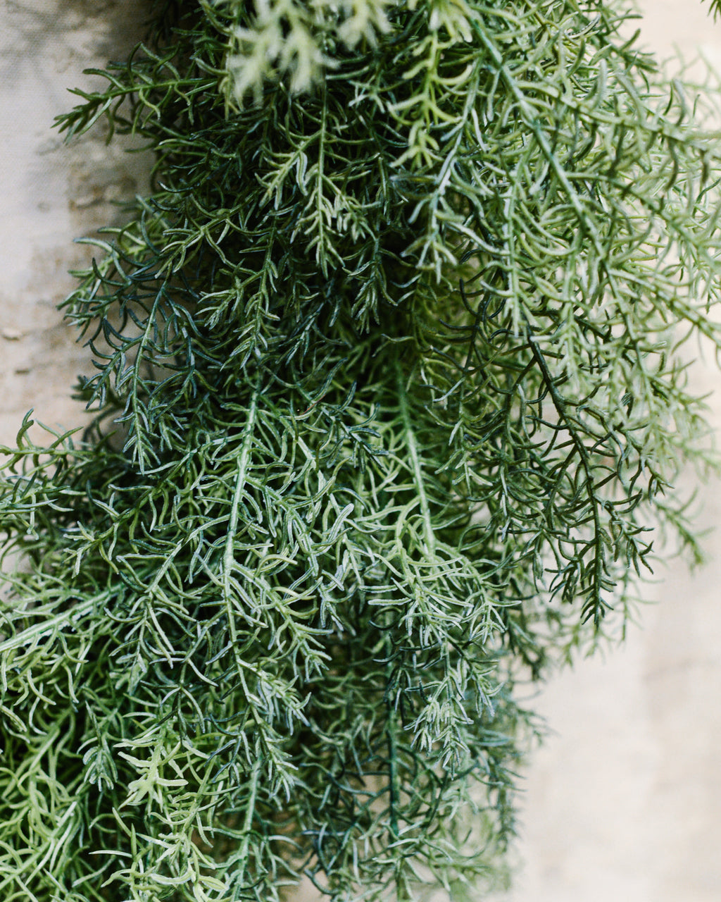 Natural Touch Mini Asparagus Fern Wreath