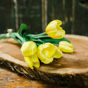 Tulip Bundle of Six Yellow