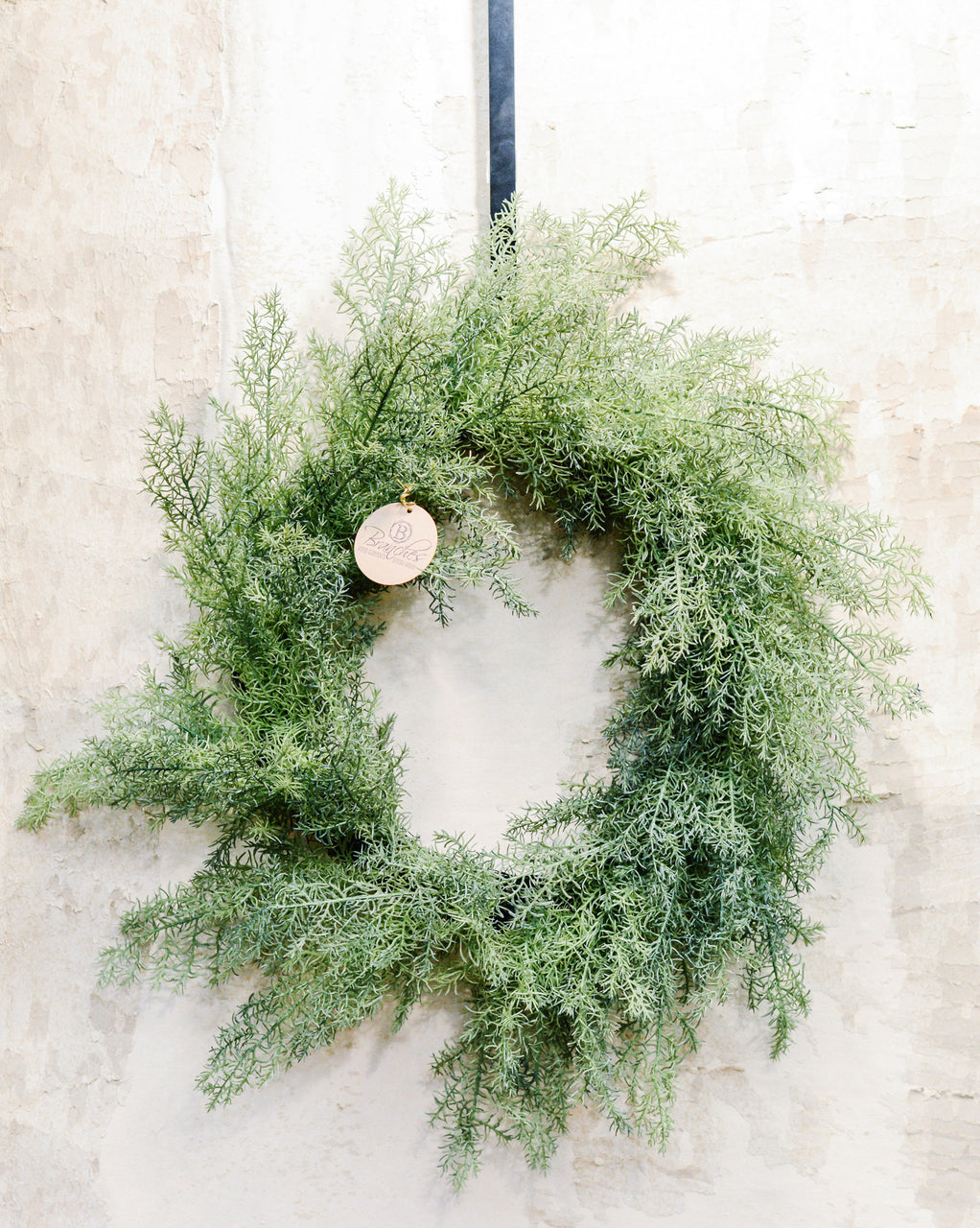 Natural Touch Mini Asparagus Fern Wreath