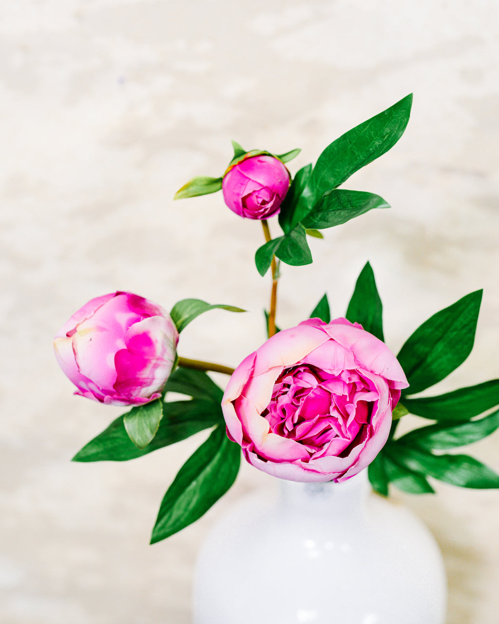 Just Cut Peony Bud Spray Stem Pink