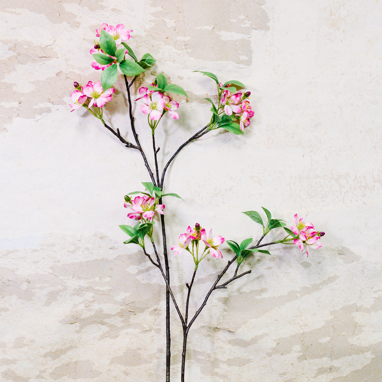 Pink Cherry Blossom Branch