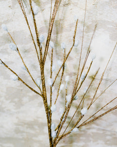 Pussy Willow Stem Natural