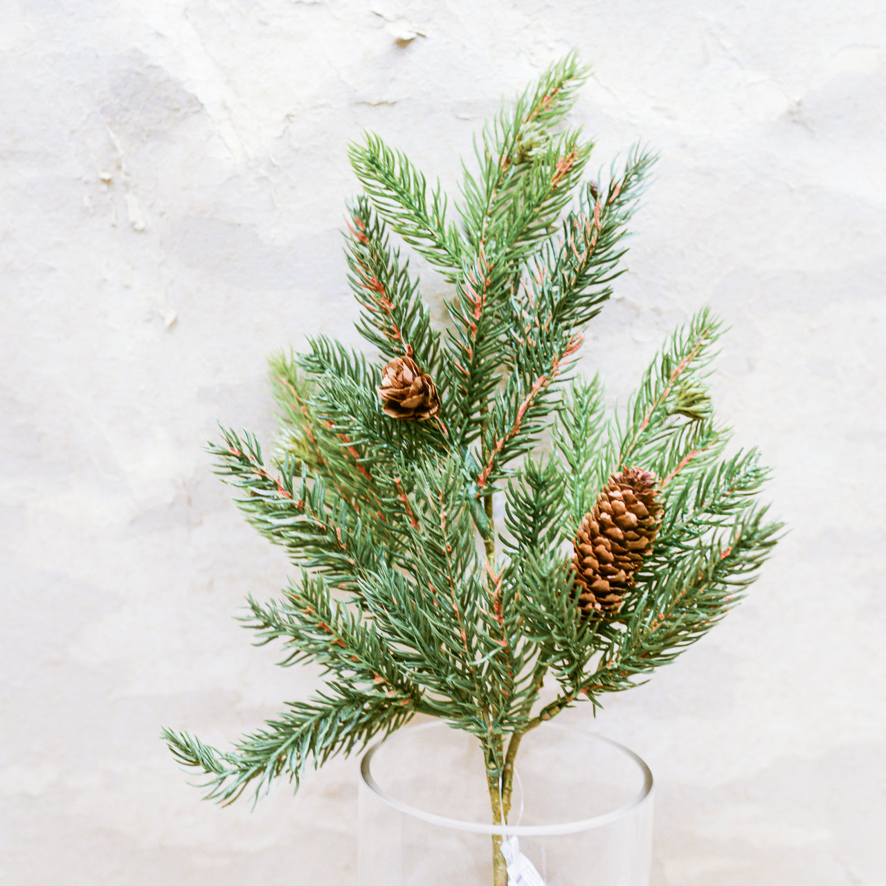 Angel Fir Pick