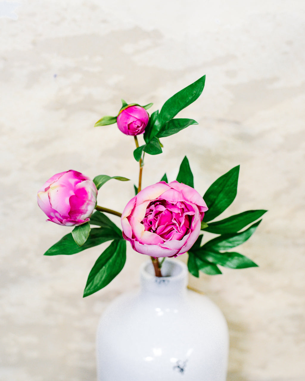 Just Cut Peony Bud Spray Stem Pink